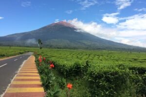 Meningkatnya aktivitas vulkanik Gunung Kerinci menjadi pengingat pentingnya kesiapan menghadapi bencana alam.