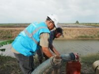 Direktur Utama PLN Darmawan Prasodjo menjelaskan program EA dirancang untuk mendorong modernisasi agrikultur dengan adopsi teknologi pertanian modern berbasis listrik. (istimewa)