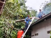 Proses evakuasi batang pohon tumbang di atap Masjid Al-Ikhlas. (Davi Alvaro/Mediaseruni)