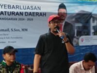 Anggota DPRD Davil X Provinsi Jawa Barat Pipik Taufik Ismail sosialisasi Perda tentang Wira Usaha di Desa Majalaya, Karawang. (Davi Alvaro/Mediaseruni)
