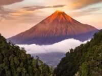 IMG 20250419 WA0002