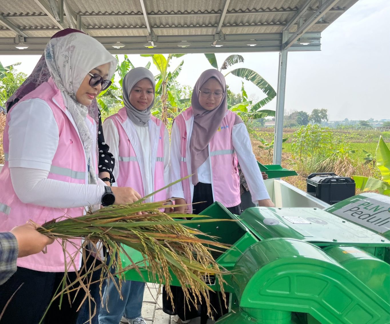 Kelompok Tani Berkah Sakabeh Bekasi, Lewat Program Electrifying Agriculture PLN Tingkatkan Produktivitas Pertanian untuk Rakyat 1 IMG 20250630 WA0049