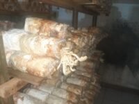 IMG 20250705 WA0014