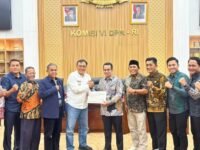 Screenshot 20251116 154530 Instagram