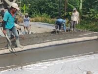 Screenshot 20251128 161700 WhatsAppBusiness