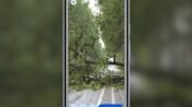 Emergency Live Video Google: Bagaimana Video Real-Time Bisa Selamatkan Nyawa