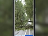 Emergency Live Video Google: Bagaimana Video Real-Time Bisa Selamatkan Nyawa