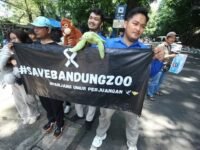 Pegawai kebon binatang Bandung atau Bandung zoo turun ke jalan menggalang dana untuk pakan hewan Bandung Zoo. (ist)