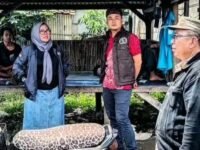 Camat Tirtamulya M. Reza Darmawan, S.STP., MSi didampingi Kepala Desa Tirtasari Tuti Komala dan MP saat meninjau kandang ayam. (Davi Alvaro/Mediaseruni)