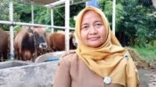 drh. Nani Dwi Astuti, Kepala Bidang Peternakan Dinas Pertanian dan Ketahanan Pangan. (Davi Alvaro/Mediaseruni)