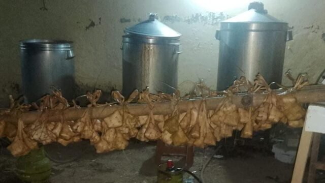 Aktivitas Produksi Ketupat menjelang hari Idul Fitri 1447 H, Ibu Ai Kecamatan Cihampelas, Bandung Barat. (Dadan Saepudin/Mediaseruni)