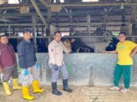 Dinas Peternakan Kabupaten Sukabumi memantau ketersediaan daging sapi dan daging ayam menjelang Idul Fitri 2026. (Prima Arno Meidiandi/Mediaseruni)