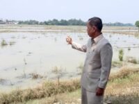 Anggota DPRD Kabupaten Karawang dari Fraksi PDI Perjuangan, Komisi ll, H. Karsim, di area persawahan Rawamerta. (Davi Alvaro/Mediaseruni)