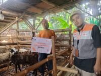 Peternak domba saat menerima program pemberdayaan kewirausahaan yang diinisiasi oleh Rumah Zakat bersama BBPKK Lembang. (Dadan Saepudin/Mediaseruni)