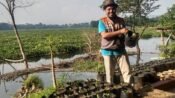 Relawan Inspirasi Rumah Zakat, Aam Aminudin, mengecek tanaman di Kampung Palayangan RW 05, Desa Cihampelas, Kecamatan Cihampelas, Bandung Barat. (Dadan Saepudin/Mediaseruni)