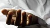 Foto ilustrasi korban meninggal tertimpa pohon tumbang. (Ist)