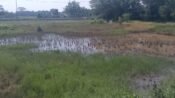 Lokasi Tempat Pemakaman Umum (TPU) yang disiapkan developer untuk warga Perum Sajati. (Davi Alvaro/Mediaseruni)
