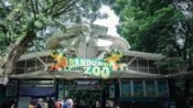 Pemkot Bandung resmi menetapkan PT Fauna Land Ancol sebagai pengelola baru Bandung Zoo. (Ist)