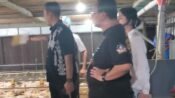 Apresiasi Usaha Peternakan Ayam H. Jenal Aripin, Ketua DPD Partai Demokrat Jabar Kunjungi Karawang