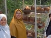 Sri Dewi Anggraini Bawa Bantuan Sayuran dan Ayam Petelur untuk KWT Teratai Rongga Lewat Program ASRI