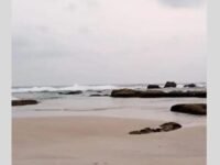 Muara Sungai Cipanarikan, kawasan Pantai Pasir Putih Konservasi Penyu Pangumbahan, Sukabumi. (Ist)