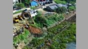 Pembersihan eceng gondok di Waduk Saguling mulai dilakukan hari ini. Pemkab Bandung Barat pun melibatkan sejumlah unsur dan stageholder. (Dadan Saepudin/Mediaseruni)