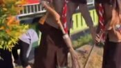 Camat Pemalang dan ASN Turun Tangan Bersihkan Lingkungan, Dukung Instruksi Bupati Wujudkan Pemalang Bercahaya