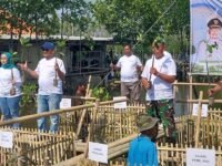 Bupati Pemalang Tanam 3.000 Mangrove di Ulujami, Singgung Paradoks Warga Saat Hujan: “Tidur Berselimut, Habis Itu Cari Air”