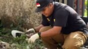 Camat Pulosari Pimpin Aksi Bersih-Bersih Lingkungan, Wujudkan Pemalang Bersih dan Asri Sesuai Arahan Bupati