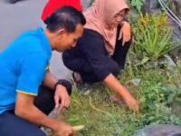 Gerakan Hijau di Botekan, Ratusan Warga dan Pelajar Ambil Bagian dalam Aksi Penataan Lingkungan