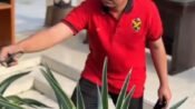 Jumat Bersih Jadi Budaya Kerja, Camat Pemalang Pimpin Langsung Aksi Bersih-Bersih Halaman Kantor Kecamatan