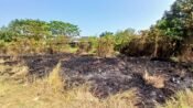 Sebulan 10 Kali Kebakaran di Karawang, Terakhir Lahan Kosong di Palumbonsari