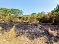 Sebulan 10 Kali Kebakaran di Karawang, Terakhir Lahan Kosong di Palumbonsari