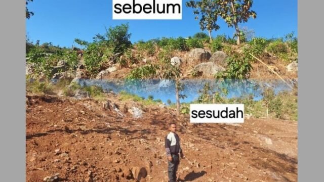 Pembersihan Batu di Lahan Pertanian Desa Mpuri Dongkrak Harapan Panen Jagung