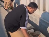 Korve JATENG ASRI RHAPSODI, Camat Ulujami Pimpin Aksi Bersih Lingkungan Libatkan Lintas Instansi