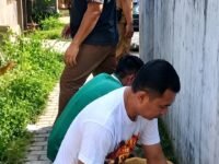 Korve Jateng ASRI Digelar, Camat Ulujami Pimpin Gotong Royong Bersihkan Lingkungan Kantor Kecamatan