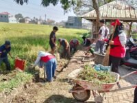Gotong Royong Bergema di Batujajar Barat, Anak Anak Diedukasi Soal Lingkungan Sehat