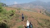 Karhutla Jabar Capai 90 Kejadian, Sumedang Tertinggi Kabupaten Bandung 8 Kasus Kebakaran