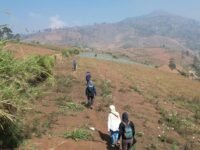 Karhutla Jabar Capai 90 Kejadian, Sumedang Tertinggi Kabupaten Bandung 8 Kasus Kebakaran