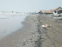 CECERAN minyak mentah mengotori pantai Cemarajaya, kuat dugaan limbah minyak tersebut milik pertamina. (Damara Ichsan/Mediaseruni)