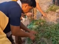 Korve Jateng Asri di Ulujami: Kebersihan Bukan Sekadar Rutinitas, Melainkan Budaya