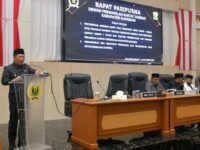 Wabup Andreas Sampaikan Strategi Penataan Perangkat Daerah di Paripurna DPRD
