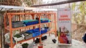 Rumah Zakat Fasilitasi Saung Edukasi Maggot di Cihampelas Jadi Wadah Belajar Lingkungan 